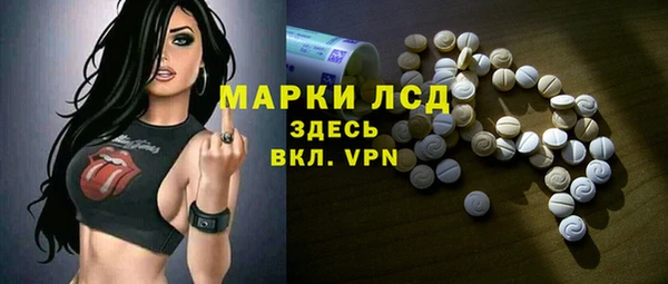 гашик Алексин