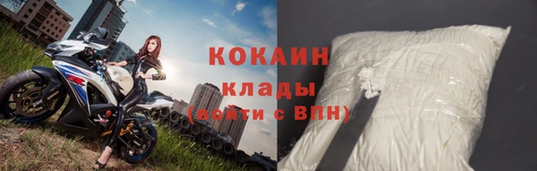 хмурый Абаза