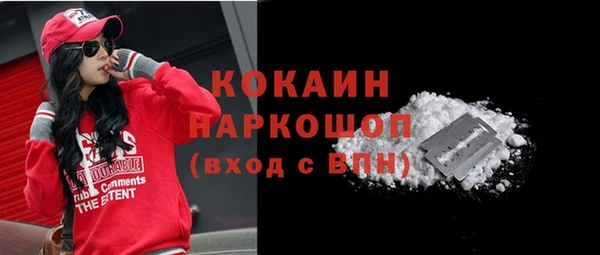 хмурый Абаза