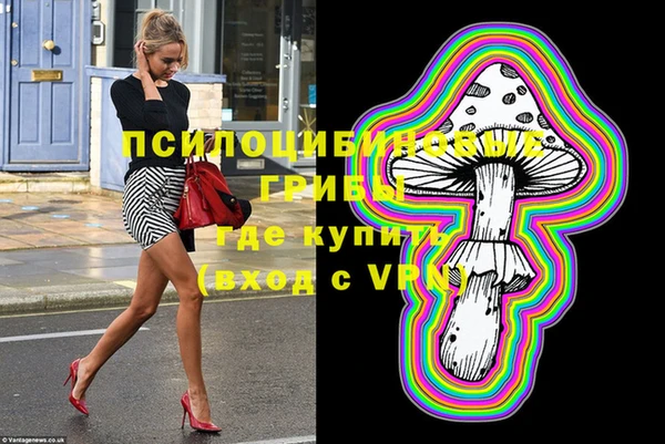 стаф Алексеевка