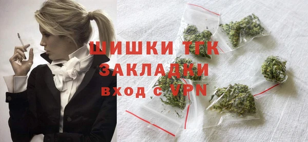 хмурый Абаза